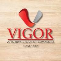 VIGOR Group of Companies Job Vacancies