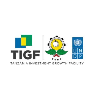 Program Manager Job Vacancy at Tanzania Investment Growth Facility (TIGF) 