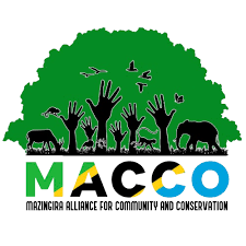 Finance Manager Job Opportunity at MACCO