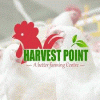 Harvest Point Job Vacancies