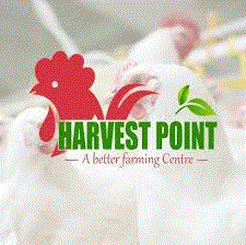 Senior Sales Officer Job Vacancy at Harvest Point 