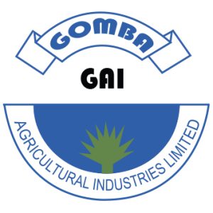 Intern Assistant accountant Vacancy at Gomba