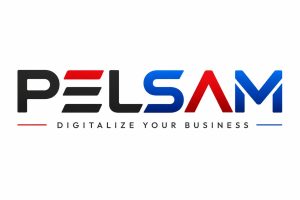 Assistant Administration & HR Officer at Pelsam Limited