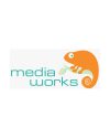 Media Works Limited Job Vacancies