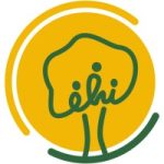 Emerging Health Initiatives (EHI) Job Vacancies