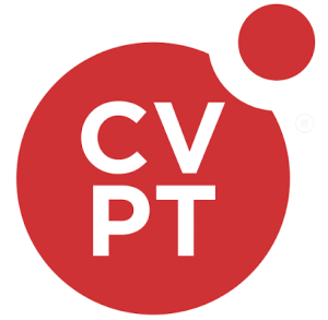 CVPeople Tanzania Job Vacancy — Executive Director