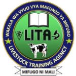 LITA Job Vacancies, Latest Careers & Apply Online