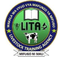 LITA Job Vacancies, Latest Careers & Apply Online