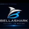 Bellashark Job Vacancies