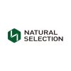 Natural Selection Mining Limited Job Vacancies