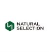 Natural Selection Mining Limited Job Vacancies