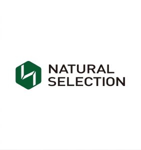 HR Assistant – Recruitment and Performance at Natural Selection Mining Limited