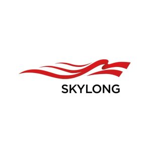 Real Estate Sales Specialist at Skylong Limited