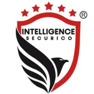 Technicians – Electronic Security Systems (4 Posts) at Intelligence Securico Limited